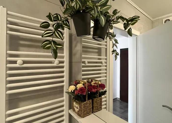 Apartman Jan